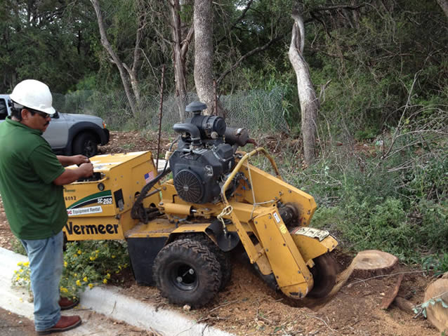 austin-stump-grinding-service